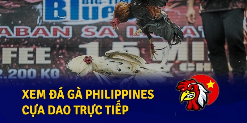 Mẹo chơi đá gà cựa dao Philippines trực tuyến